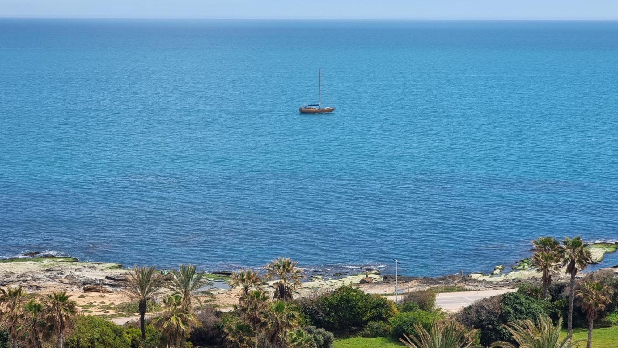 Cabo Cervera Primera Linea Apartamento De Lujo 또레비에하 외부 사진